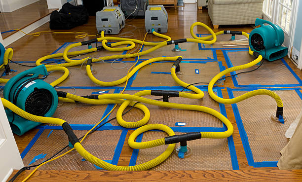 Professional Crawl Space Water Removal technician working in Racine, WI